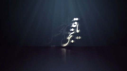 پیش‌نمایش ویدیوی شبیه برگ درختان رو به پاییزی